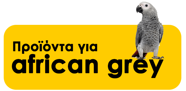Προϊόντα για african grey